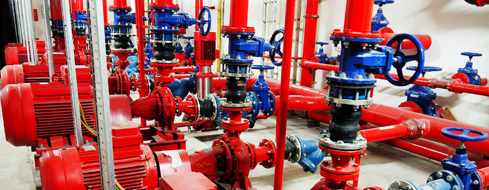 Quality Management Services